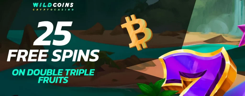 How to Play WildCoins Casino