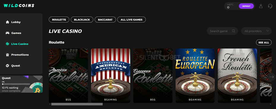 The promotional offers at WildCoins Casino feature generous crypto amounts